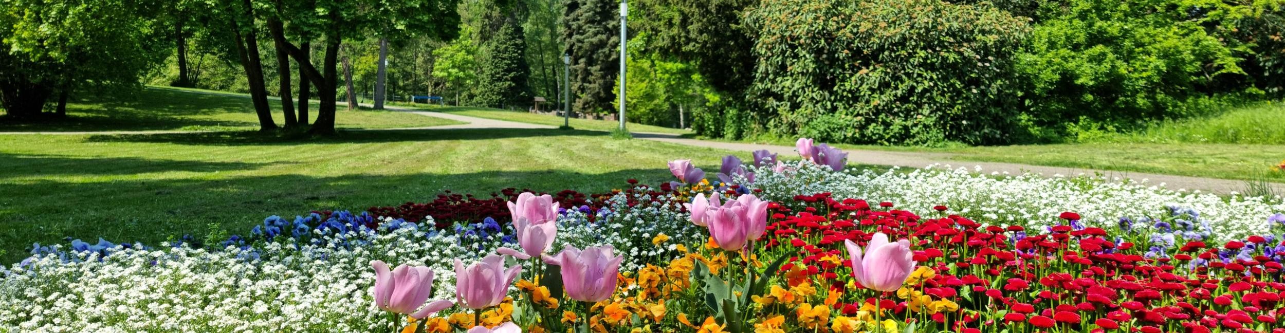 Stadtpark in Rastatt. Foto:Stadt Rastatt/Isabelle Joyon Stadtparks Blumenbeet im Vordergrund mit dem Park im Hintergrund