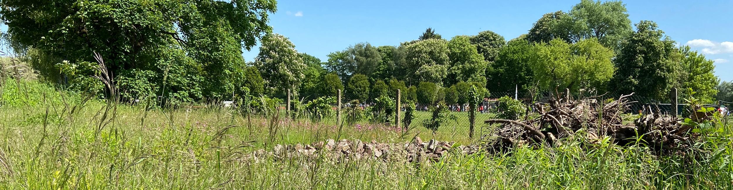 Eidechsenrefugium beim Philosophenweg in Rastatt. Foto: Stadt Rastatt/Veronika Öderer Eidechsenrefugium in Rastatt