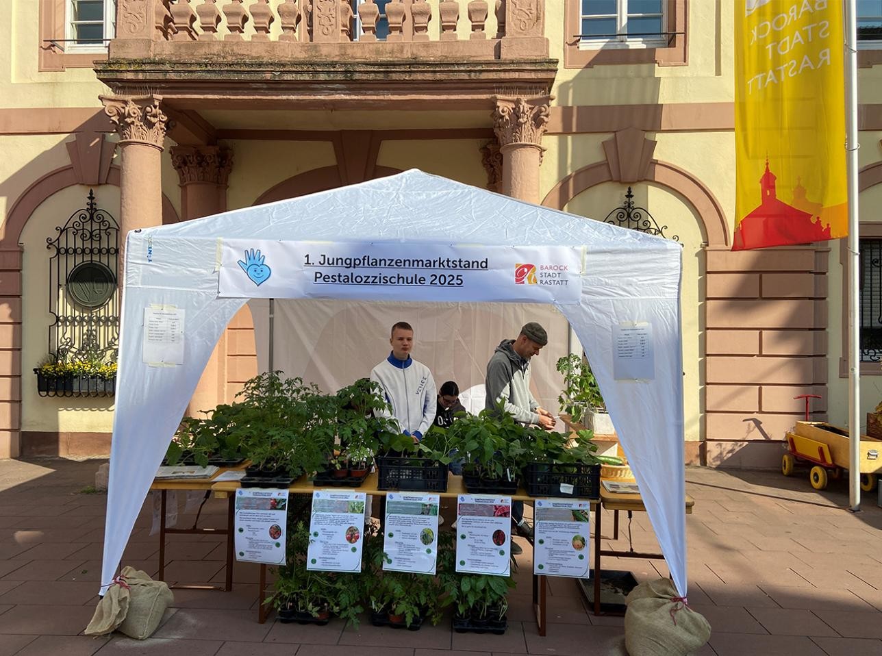 Die ersten Bio-Gemüsejungpflanzen der Pestalozzi-Schule wurden auf dem Wochenmarkt erfolgreich verkauft. Foto: Stadt Rastatt/Veronika Öder. Die Schüler der Pestalozzi-Schule verkaufen auf dem Wochenmarkt vor dem Historischen Rathaus Bio-Gemüsejungpflanzen
