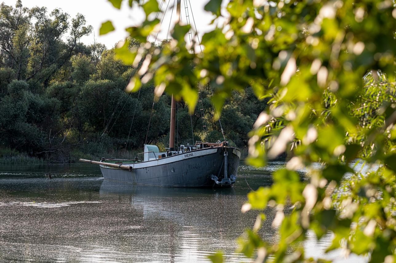 Trügerische Idylle rund um das Museumsschiff „Heini“: zu niedrige Wasserstände lassen immer seltener Führungen zu. Foto: Oliver Hurst Museumsschiff „Heini“