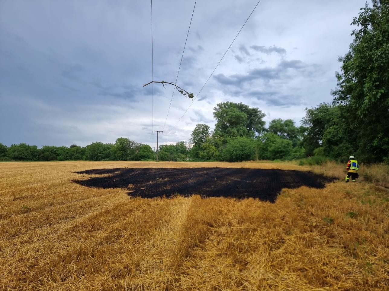 Ein vom Sturm abgerissener Ast wurde in eine Freileitung geweht, verursachte den Stromausfall in Ottersdorf und Plittersdorf und setzte durch Funkenflug das darunterliegende Feld kurzzeitig in Brand. Foto: Sebastian Hornung/Stadtwerke Rastatt abgerissener Ast auf Freileitung