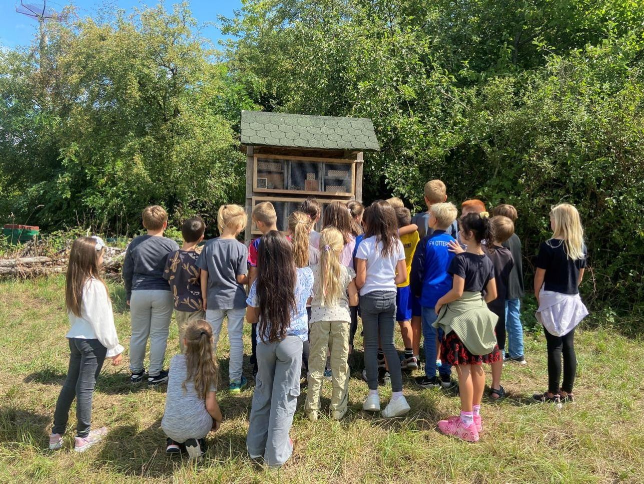 Teamarbeit: Die Schülerinnen und Schüler bestaunen die neu bestückte Nisthilfe. Foto: Veronika Öder/Stadt Rastatt Die Schülerinnen und Schüler bestaunen die neu bestückte Nisthilfe.