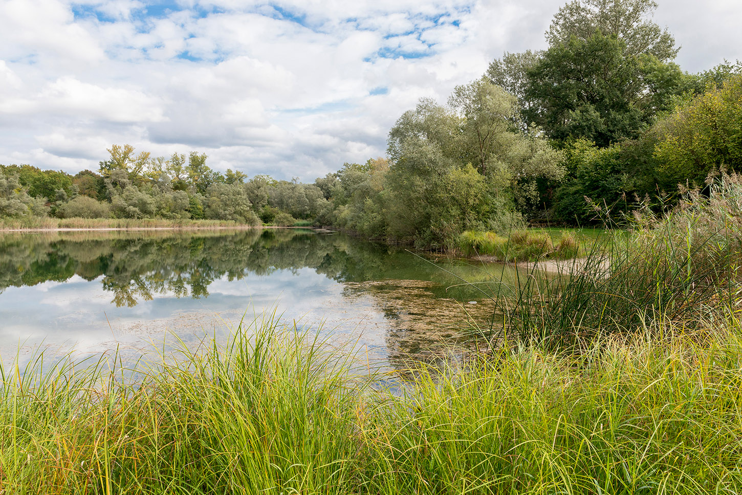 Krautstücker-See in Wintersdorf