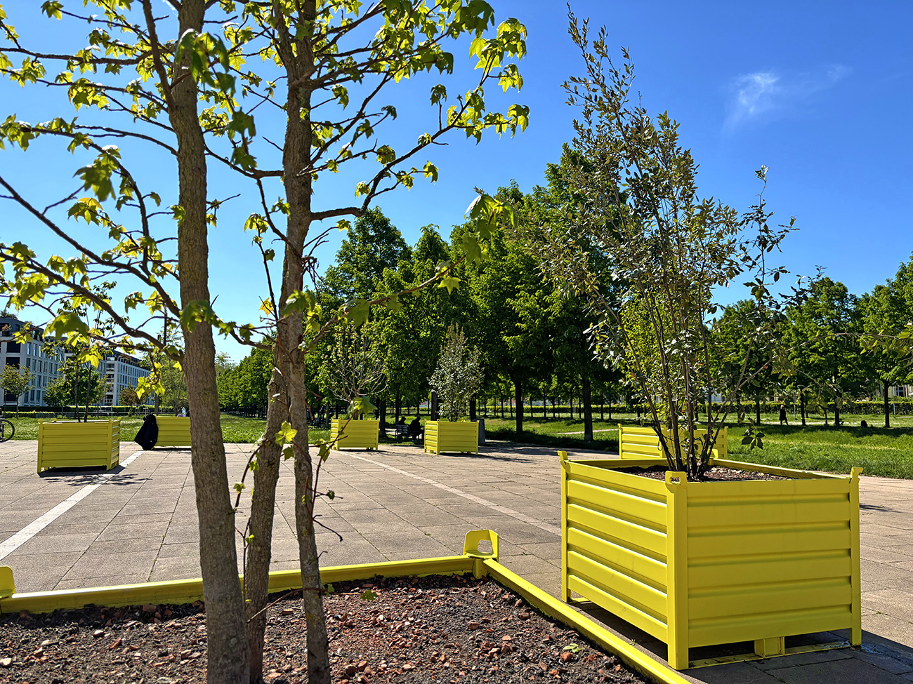 Wanderbäume in Boxen auf dem Kulturplatz beim Landratsamt