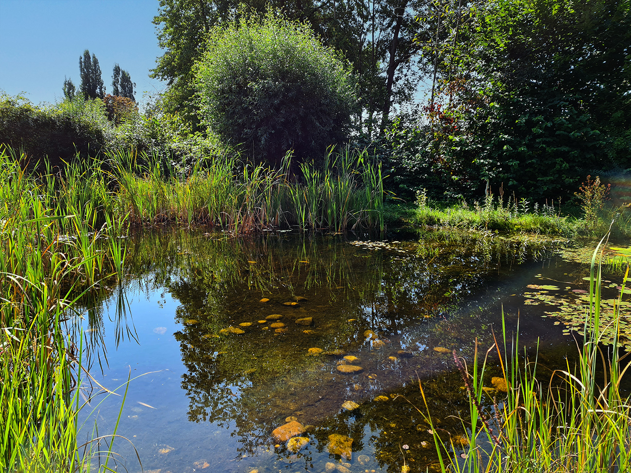 Kleines Stillgewässer